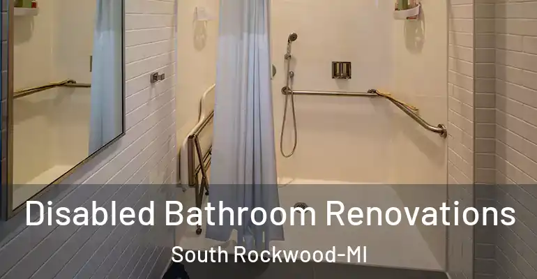 inner Bathroom imggen Disabled Bathroom Renovations South Rockwood-MI
