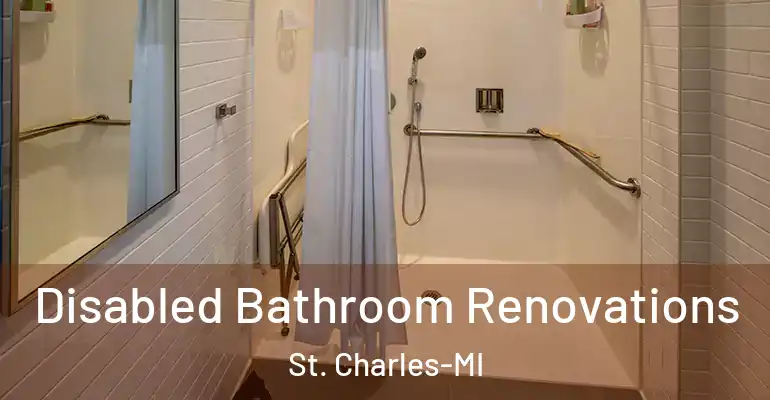 inner Bathroom imggen Disabled Bathroom Renovations St. Charles-MI