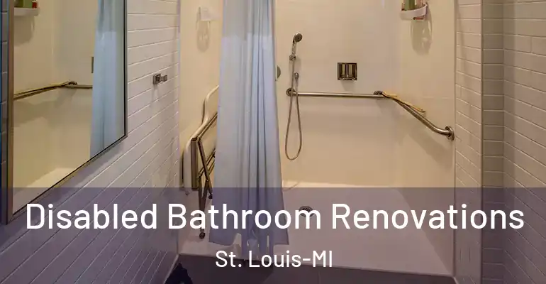 inner Bathroom imggen Disabled Bathroom Renovations St. Louis-MI