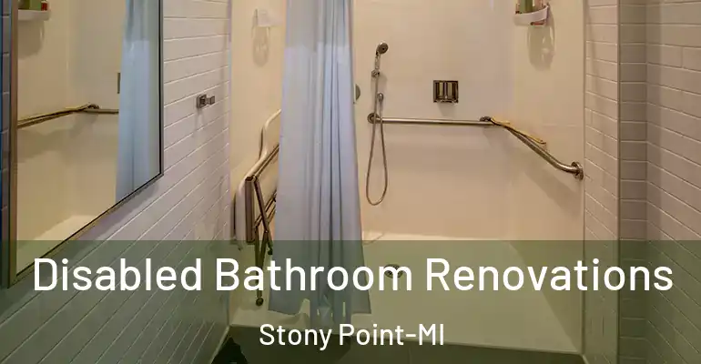 inner Bathroom imggen Disabled Bathroom Renovations Stony Point-MI