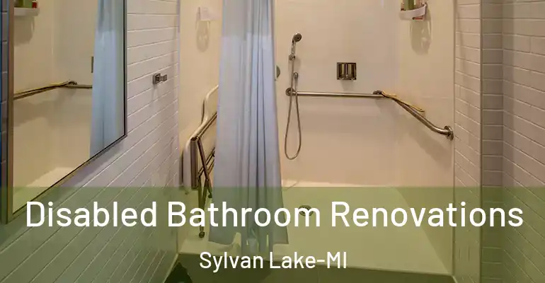 inner Bathroom imggen Disabled Bathroom Renovations Sylvan Lake-MI