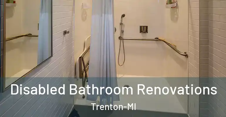 inner Bathroom imggen Disabled Bathroom Renovations Trenton-MI