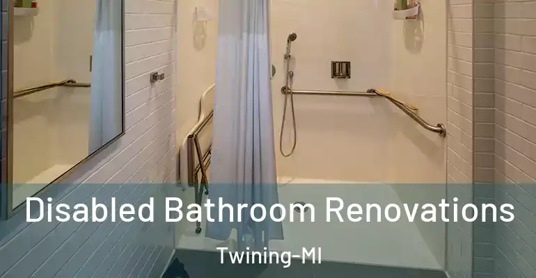 inner Bathroom imggen Disabled Bathroom Renovations Twining-MI