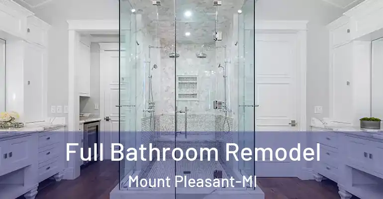 inner Bathroom imggen Full Bathroom Remodel Mount Pleasant-MI