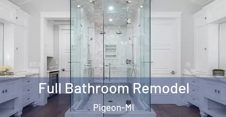 inner Bathroom imggen Full Bathroom Remodel Pigeon-MI