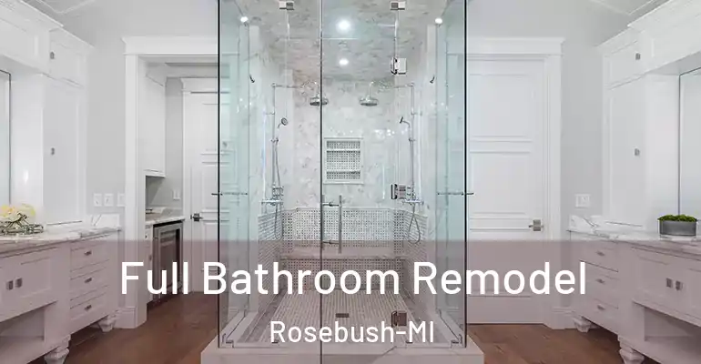inner Bathroom imggen Full Bathroom Remodel Rosebush-MI