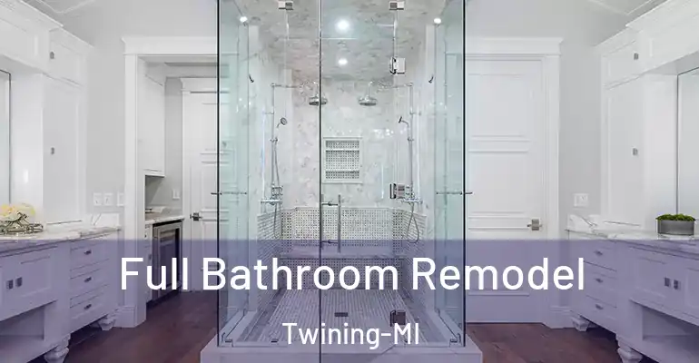 inner Bathroom imggen Full Bathroom Remodel Twining-MI