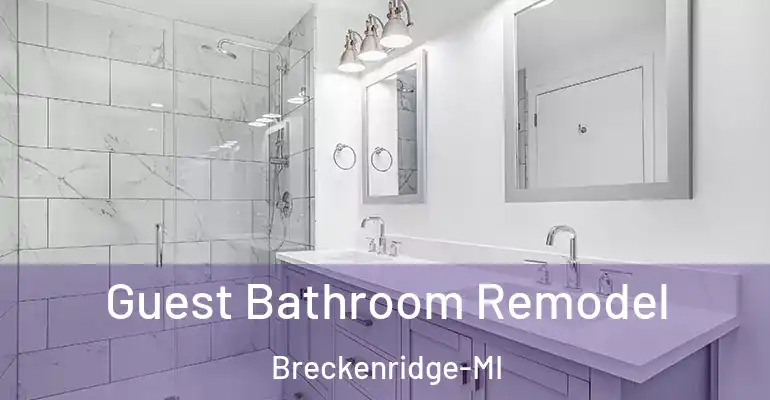 inner Bathroom imggen Guest Bathroom Remodel Breckenridge-MI