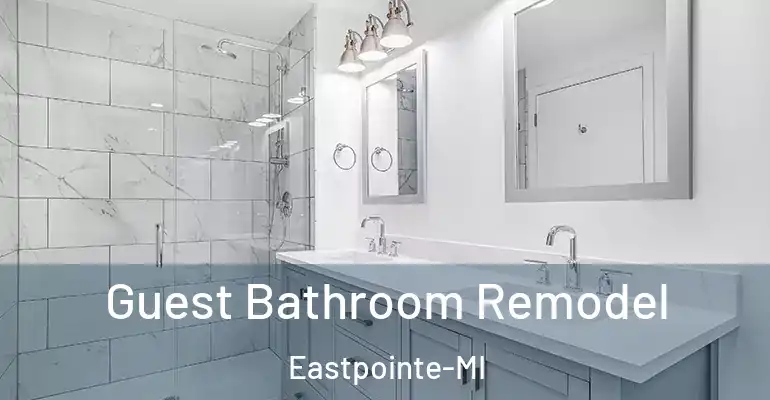 inner Bathroom imggen Guest Bathroom Remodel Eastpointe-MI