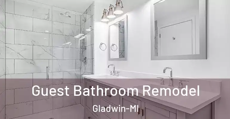 inner Bathroom imggen Guest Bathroom Remodel Gladwin-MI
