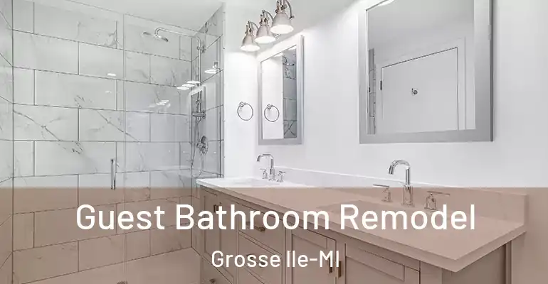 inner Bathroom imggen Guest Bathroom Remodel Grosse Ile-MI