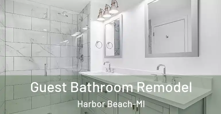inner Bathroom imggen Guest Bathroom Remodel Harbor Beach-MI