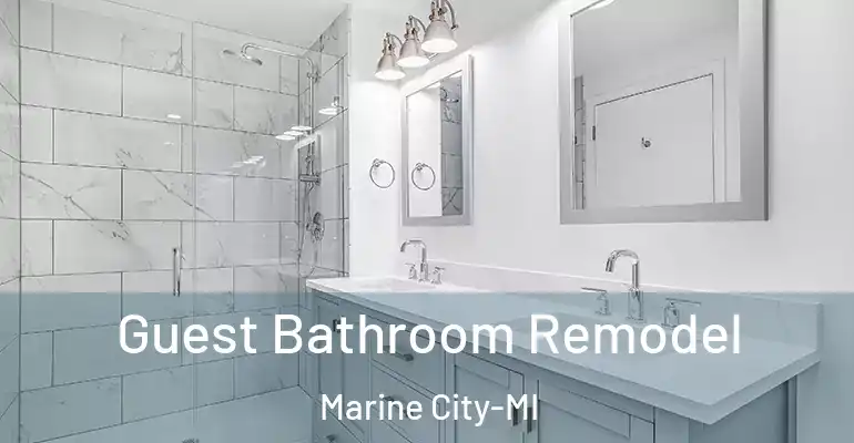 inner Bathroom imggen Guest Bathroom Remodel Marine City-MI