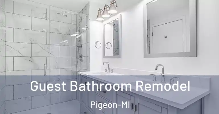 inner Bathroom imggen Guest Bathroom Remodel Pigeon-MI