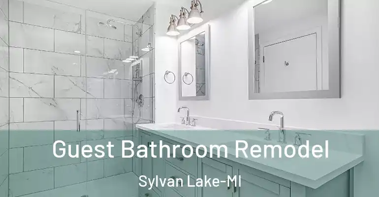 inner Bathroom imggen Guest Bathroom Remodel Sylvan Lake-MI