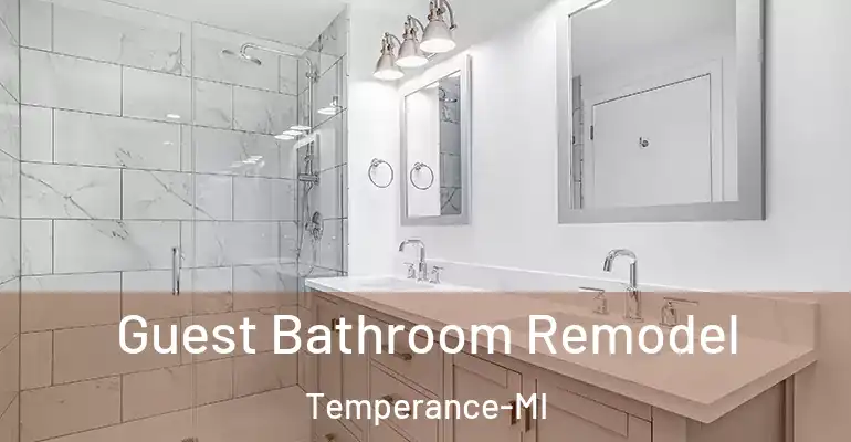 inner Bathroom imggen Guest Bathroom Remodel Temperance-MI