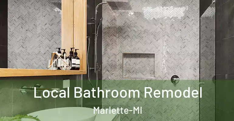 inner Bathroom imggen Local Bathroom Remodel Marlette-MI