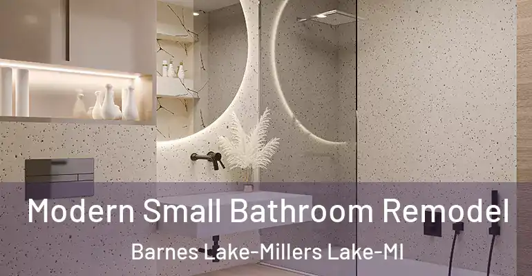 inner Bathroom imggen Modern Small Bathroom Remodel Barnes Lake-Millers Lake-MI