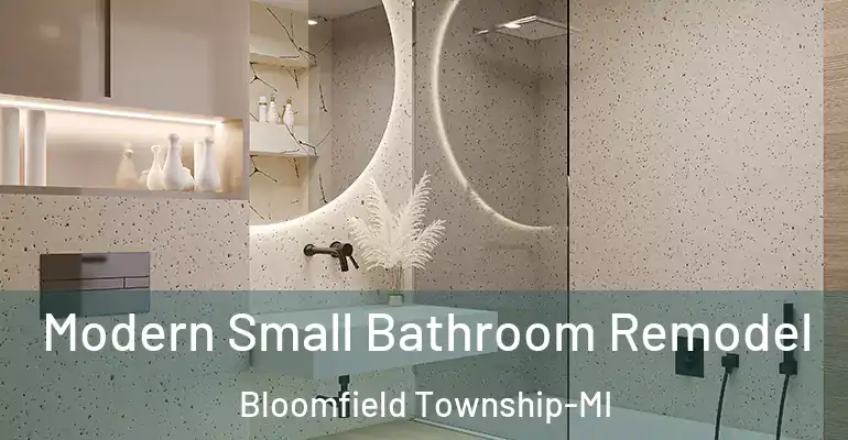 inner Bathroom imggen Modern Small Bathroom Remodel Bloomfield Township-MI