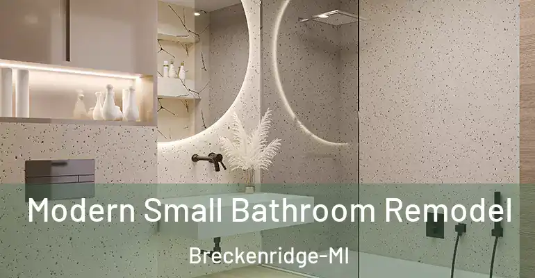 inner Bathroom imggen Modern Small Bathroom Remodel Breckenridge-MI