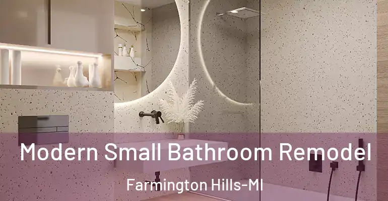 inner Bathroom imggen Modern Small Bathroom Remodel Farmington Hills-MI