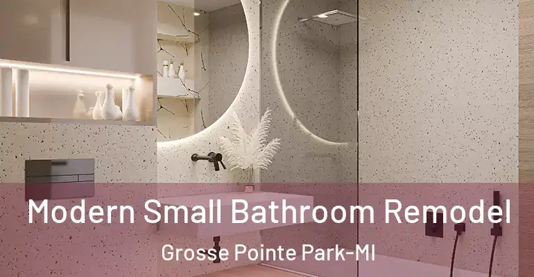 inner Bathroom imggen Modern Small Bathroom Remodel Grosse Pointe Park-MI