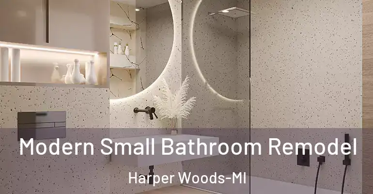 inner Bathroom imggen Modern Small Bathroom Remodel Harper Woods-MI