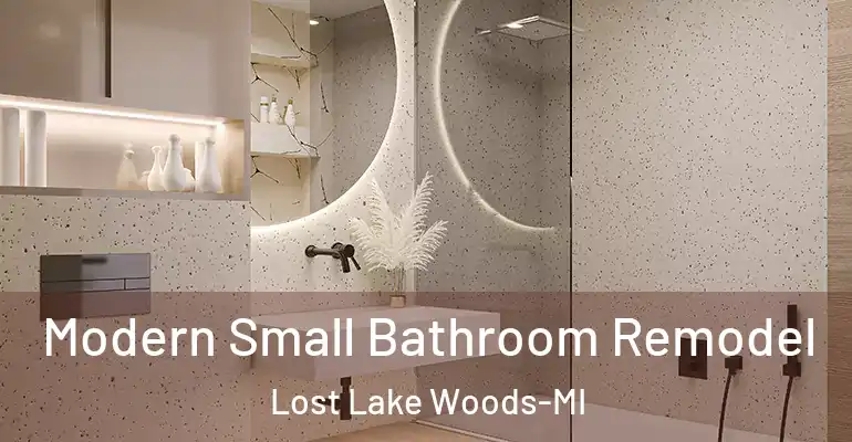inner Bathroom imggen Modern Small Bathroom Remodel Lost Lake Woods-MI
