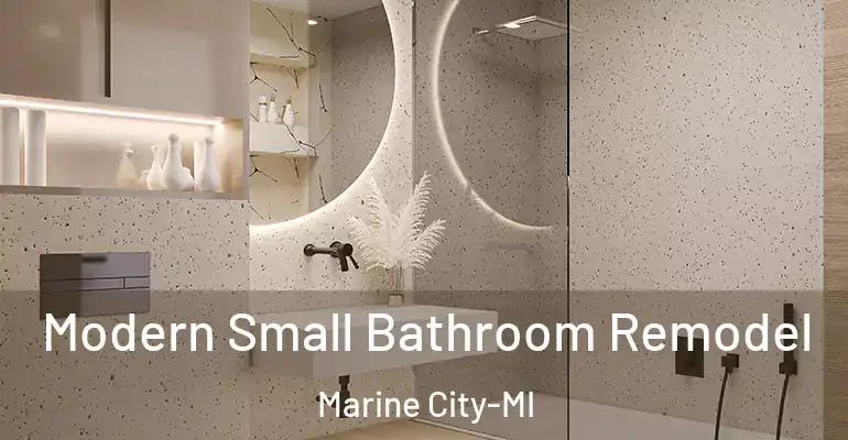 inner Bathroom imggen Modern Small Bathroom Remodel Marine City-MI