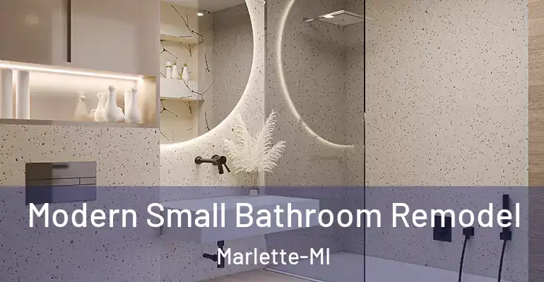 inner Bathroom imggen Modern Small Bathroom Remodel Marlette-MI