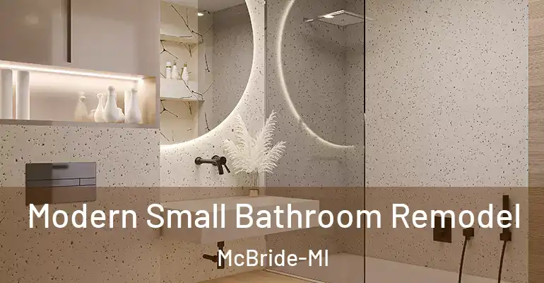 inner Bathroom imggen Modern Small Bathroom Remodel McBride-MI