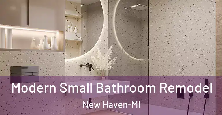 inner Bathroom imggen Modern Small Bathroom Remodel New Haven-MI
