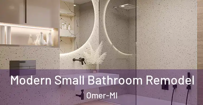 inner Bathroom imggen Modern Small Bathroom Remodel Omer-MI