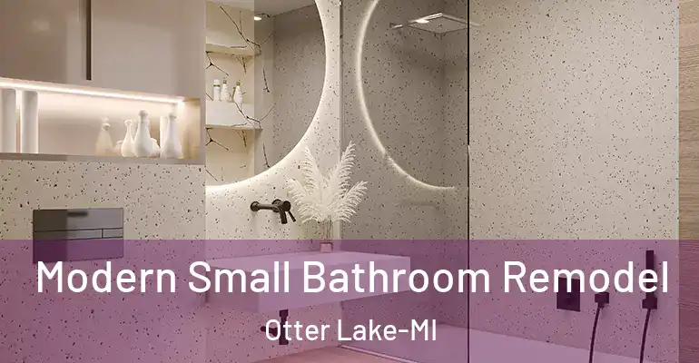inner Bathroom imggen Modern Small Bathroom Remodel Otter Lake-MI