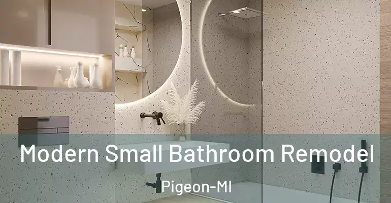 inner Bathroom imggen Modern Small Bathroom Remodel Pigeon-MI
