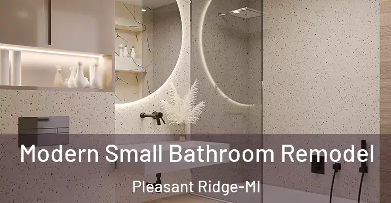 inner Bathroom imggen Modern Small Bathroom Remodel Pleasant Ridge-MI