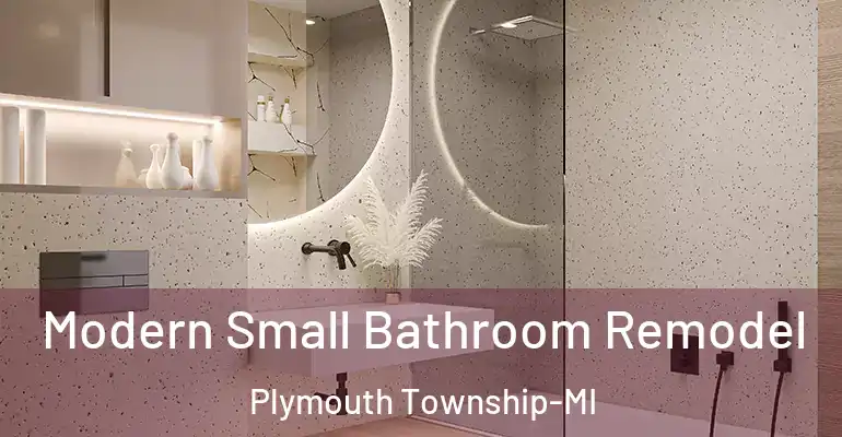 inner Bathroom imggen Modern Small Bathroom Remodel Plymouth Township-MI