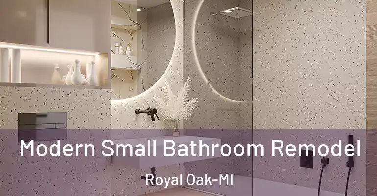 inner Bathroom imggen Modern Small Bathroom Remodel Royal Oak-MI
