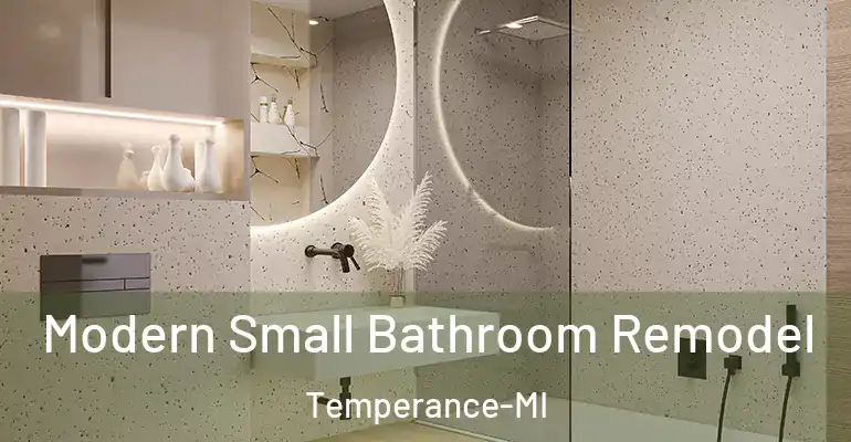 inner Bathroom imggen Modern Small Bathroom Remodel Temperance-MI