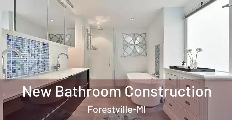 inner Bathroom imggen New Bathroom Construction Forestville-MI