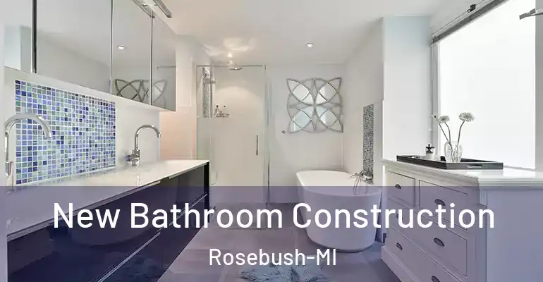 inner Bathroom imggen New Bathroom Construction Rosebush-MI
