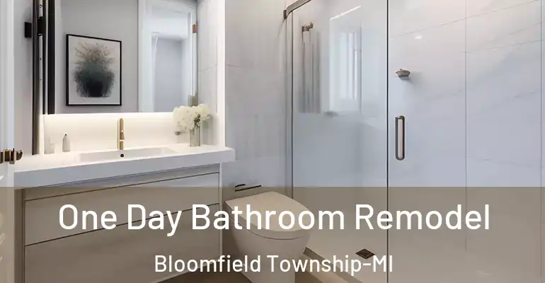 inner Bathroom imggen One Day Bathroom Remodel Bloomfield Township-MI