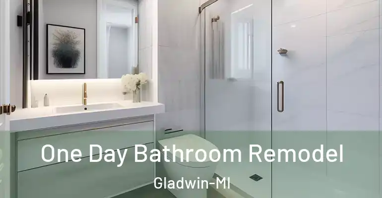 inner Bathroom imggen One Day Bathroom Remodel Gladwin-MI