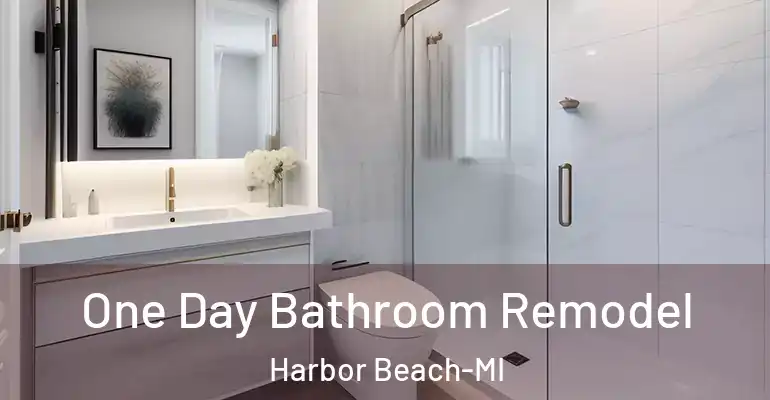 inner Bathroom imggen One Day Bathroom Remodel Harbor Beach-MI