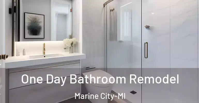 inner Bathroom imggen One Day Bathroom Remodel Marine City-MI