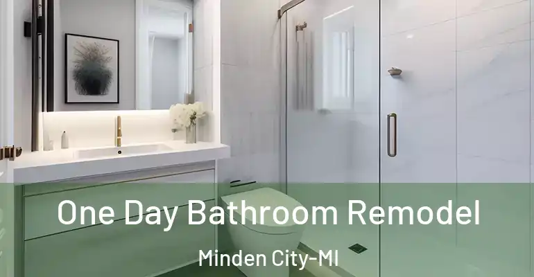 inner Bathroom imggen One Day Bathroom Remodel Minden City-MI