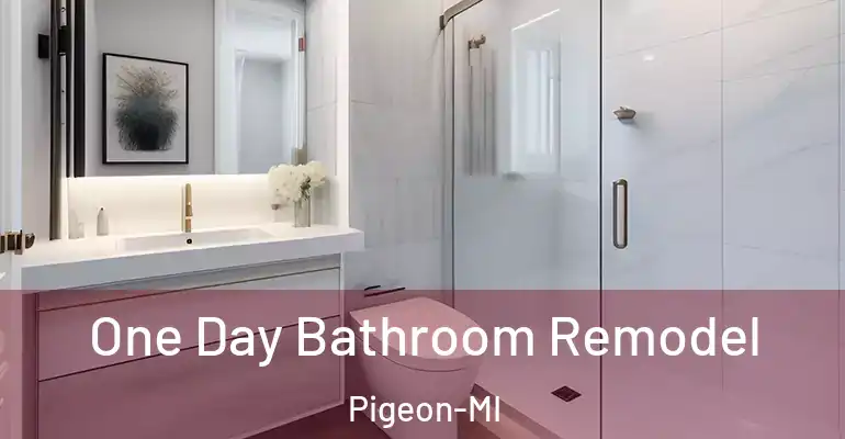 inner Bathroom imggen One Day Bathroom Remodel Pigeon-MI