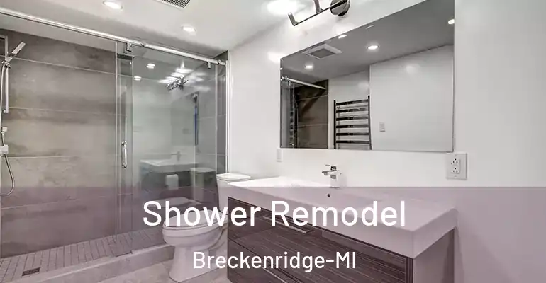 inner Bathroom imggen Shower Remodel Breckenridge-MI