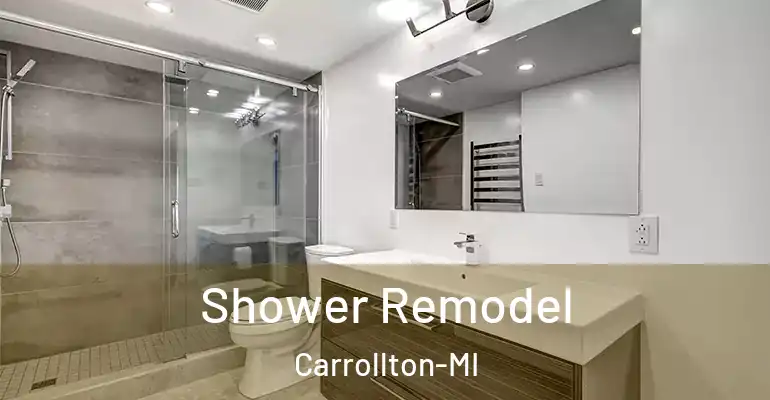 inner Bathroom imggen Shower Remodel Carrollton-MI