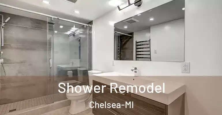 inner Bathroom imggen Shower Remodel Chelsea-MI